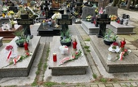 IMG_6623