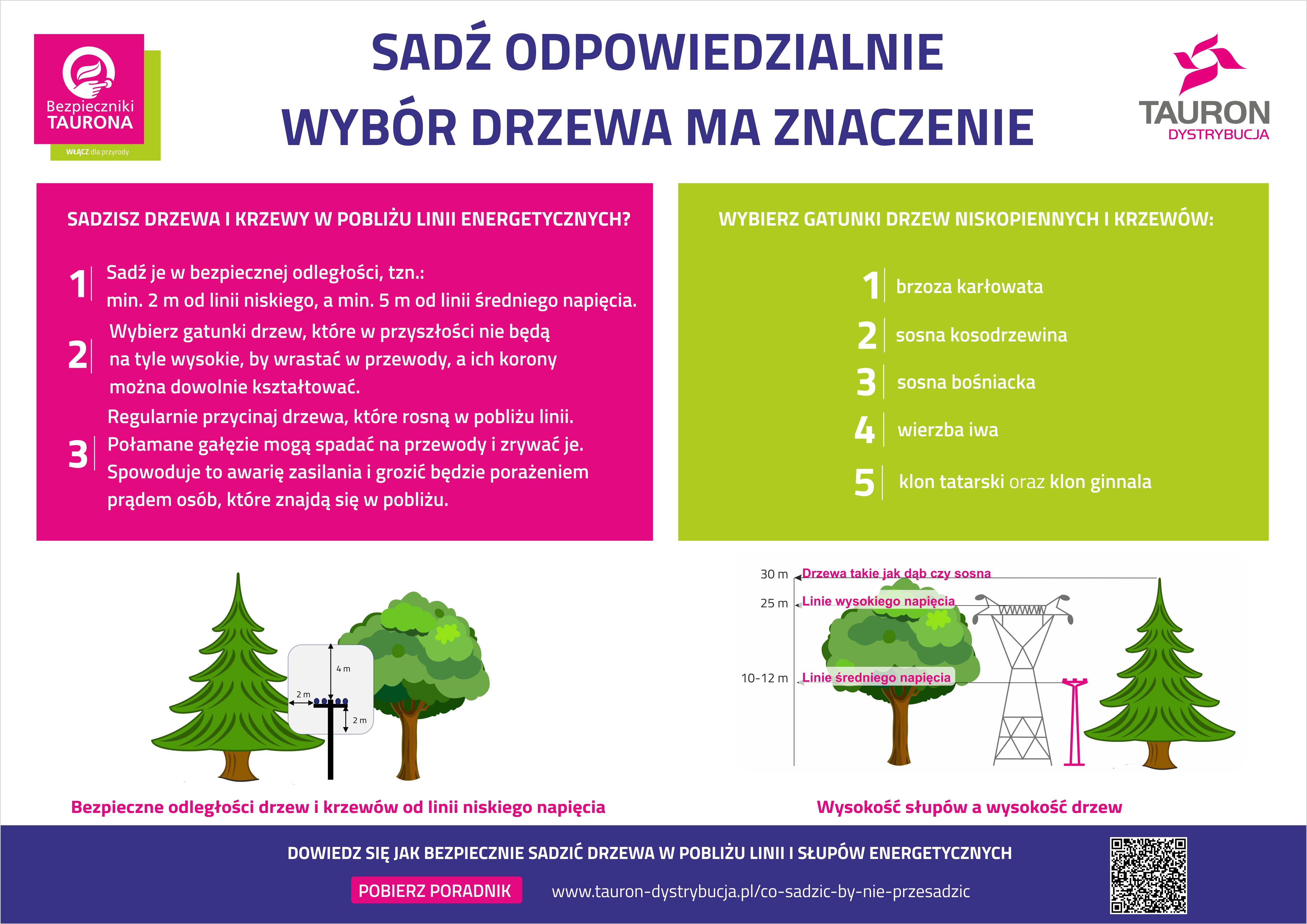 informacja o odpowiedzialnym sadzeniu drzew w pobliżu linii energetycznych