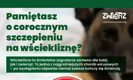 Zdjęcie do Bądź odpowiedzialny - zaszczep swojego psa!