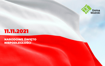 Zdjęcie do Obchody Święta Niepodległości 