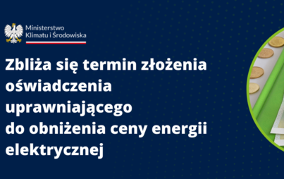 Zdjęcie do Oświadczenie na maksymalną cenę prądu 