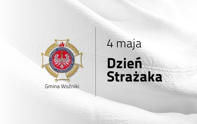 Zdjęcie do Dzień Strażaka