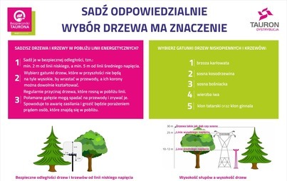 Zdjęcie do Sadź odpowiedzialnie. Wyb&oacute;r drzewa ma znaczenie 
